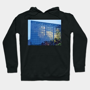 The Aquarium Hoodie